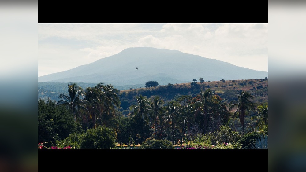 From Mount Cameroon to Dubai: Why Volcanic Soil Makes the Best Produce.