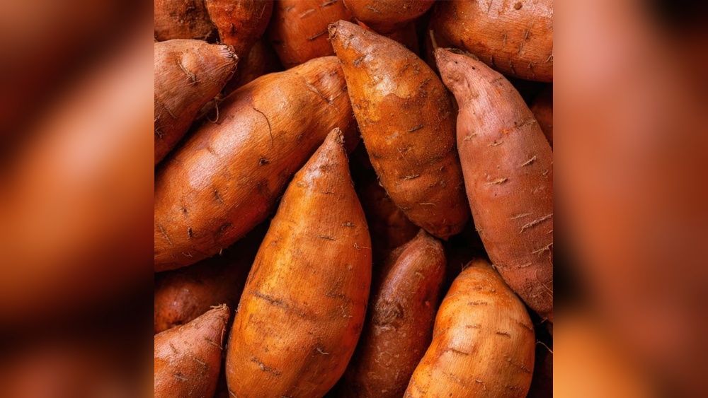 The Low-Glycemic Benefit of Cameroonian Sweet Potatoes.