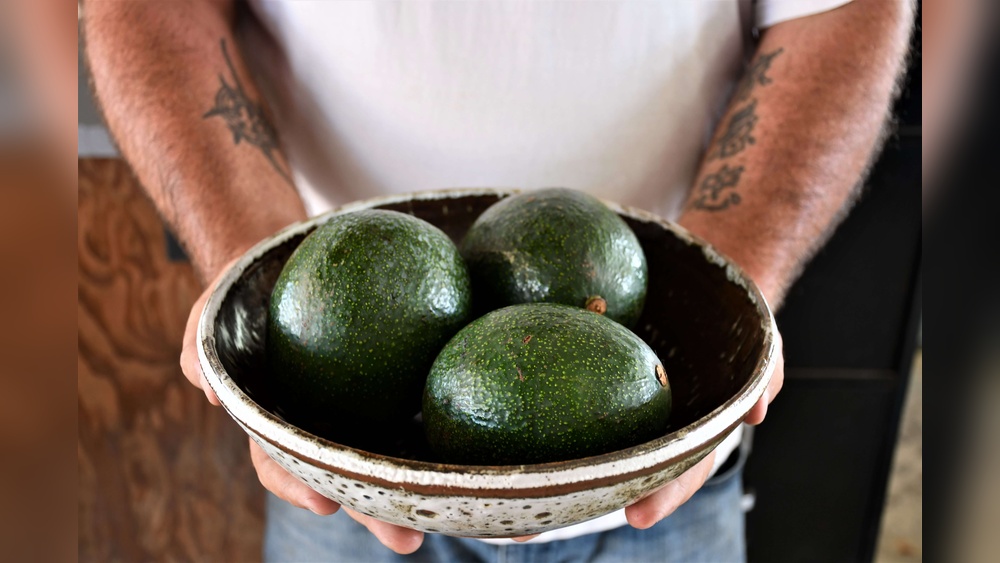 Avocado Farming in Cameroon — What Makes It Special
