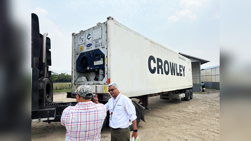 How Cold Chain Logistics Keeps Pineapples Fresh During Shipping