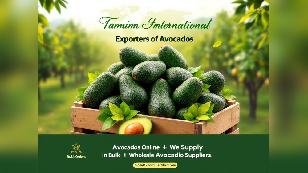 Premium Avocado Wholesale Supplier Uae
